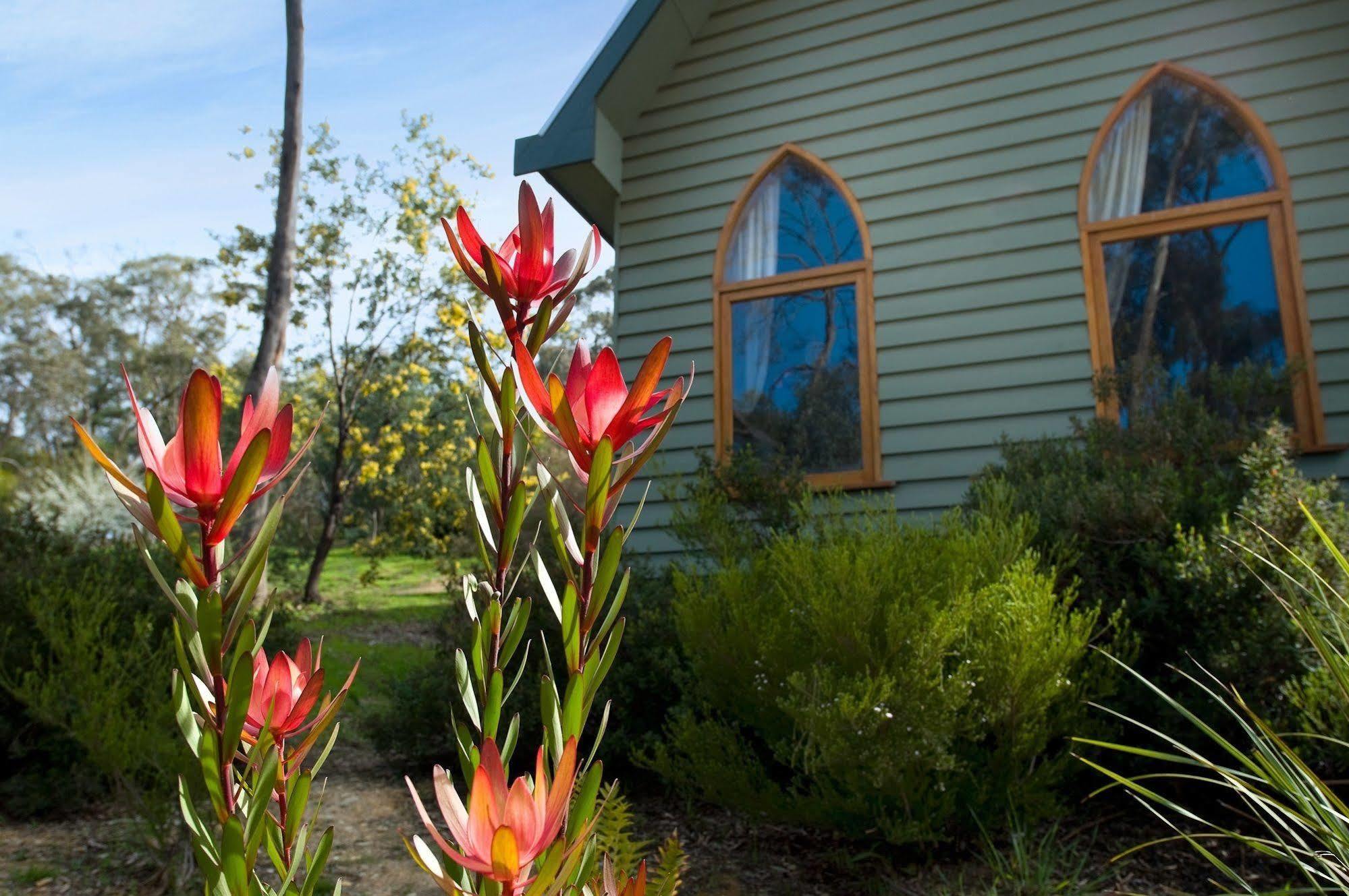 Vila Abbotts Rest Hepburn Springs Exteriér fotografie